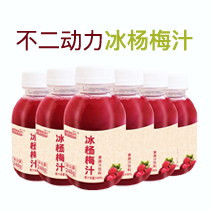 不二动力冰杨梅